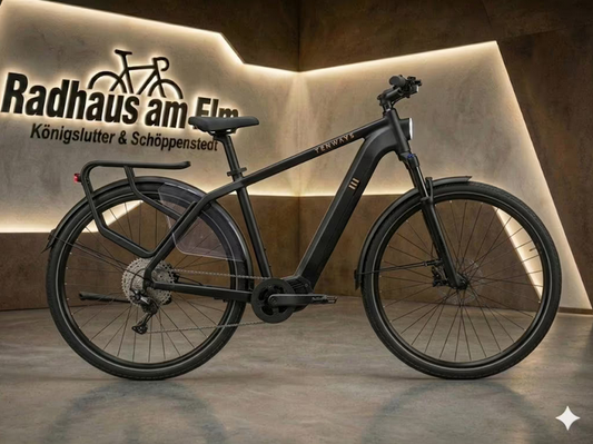 Tenways AGO X E-Bike | Allrounder Gr. M
